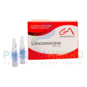 LINCOMICINA AMP INY 600MG/2ML X6 SUELTAS